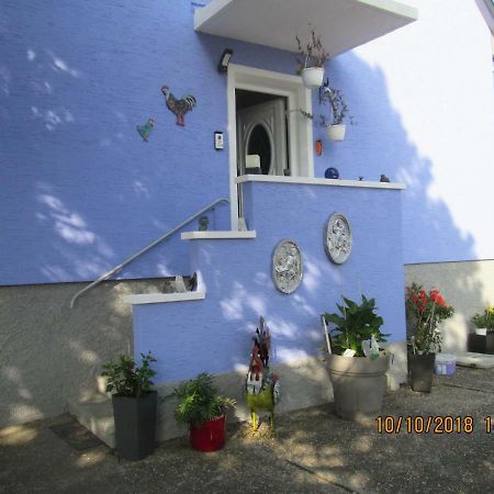 Gite Du Coq Lingolsheim Exterior photo